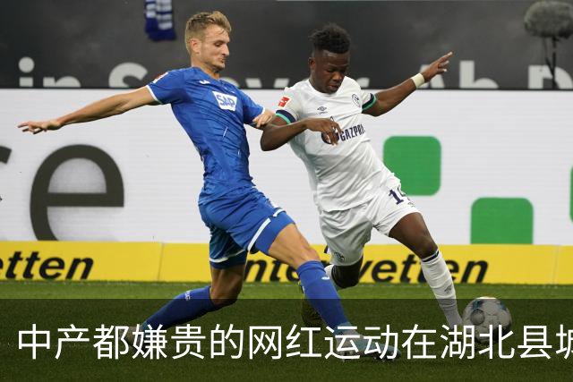 中产都嫌贵的网红运动在湖北县城免费？「中国的温网小镇」把网球打到9块9时代