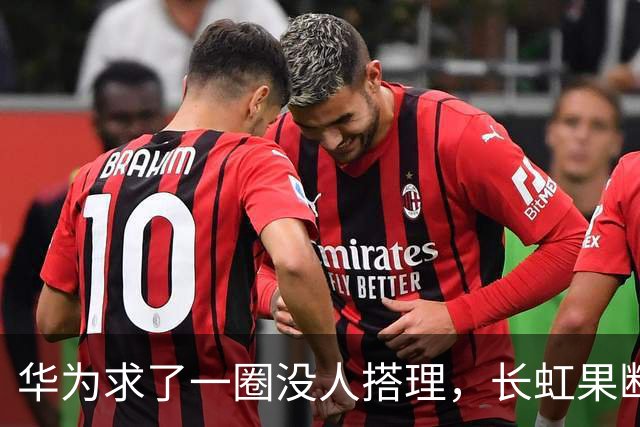 华为求了一圈没人搭理，长虹果断接盘