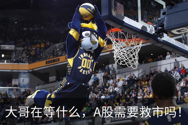 大哥在等什么，A股需要救市吗！
