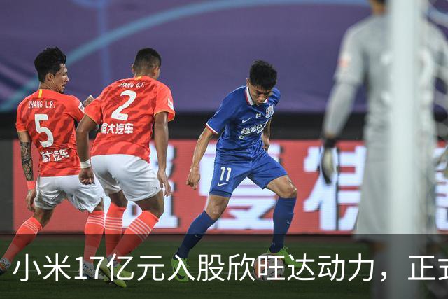 小米17亿元入股欣旺达动力，正式成为第三大股东