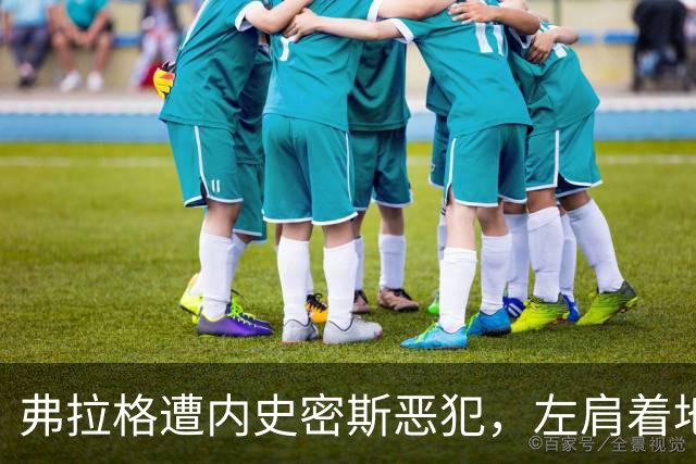 弗拉格遭内史密斯恶犯，左肩着地后受伤退场