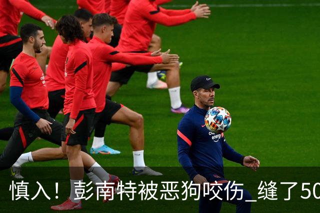 慎入！彭南特被恶狗咬伤 缝了50多针，所幸他的宠物犬英勇护主