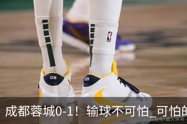 成都蓉城0-1！输球不可怕 可怕的是阿洛伊西赛后发言 坚信可以拿到冠军