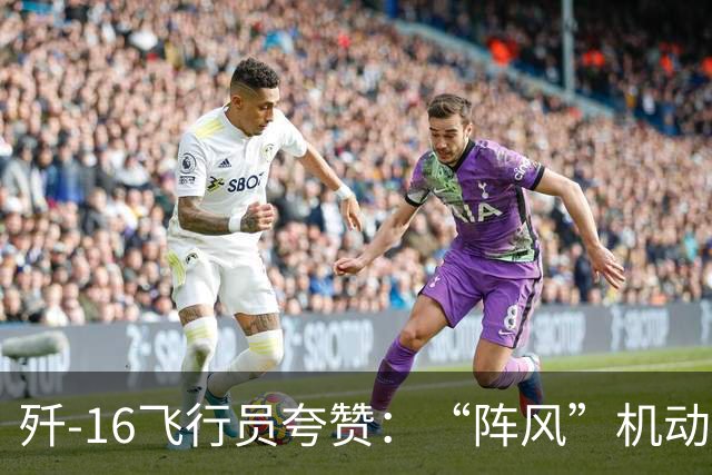 歼-16飞行员夸赞：“阵风”机动性、近距格斗能力都要更强一些！