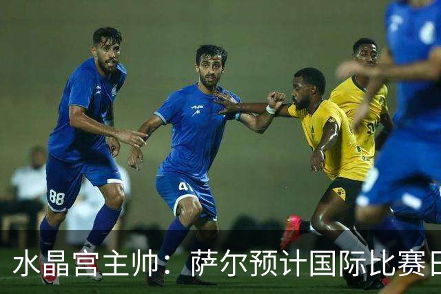 水晶宫主帅：萨尔预计国际比赛日后复出；每一分都至关重要