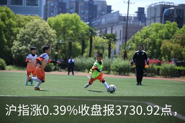 沪指涨0.39%收盘报3730.92点，成交额1.44万亿，地面兵装行业领涨
