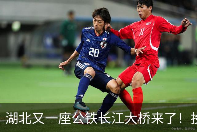 湖北又一座公铁长江大桥来了！投资‌116亿元‌，路线长‌9.7公里