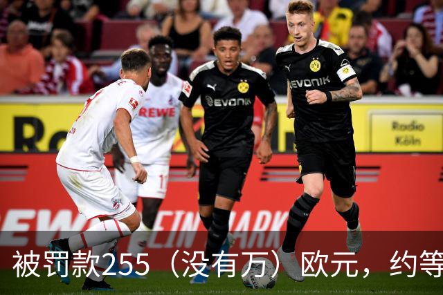 被罚款255（没有万）欧元，约等于C罗几秒钟的工资？