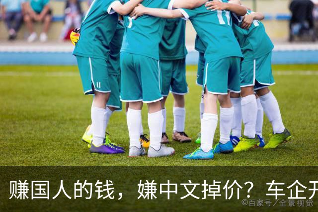 赚国人的钱，嫌中文掉价？车企开发布会狂拽英文站台，引发不满